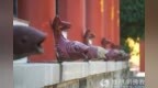 一日禅：看法